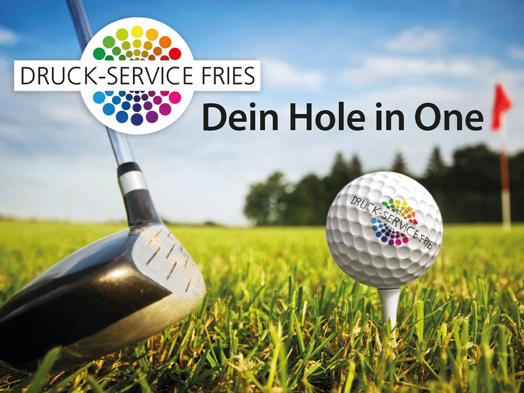 Druck-Service Fries